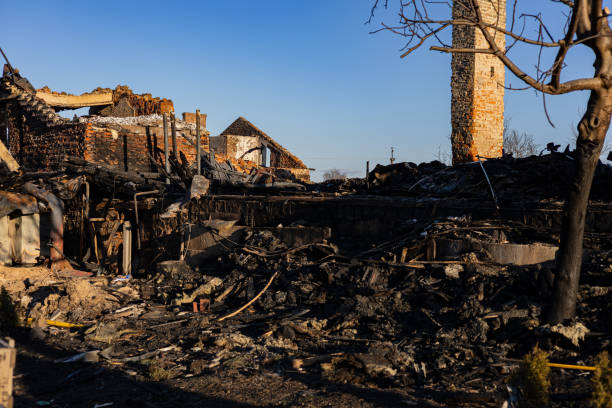 Reliable Fire Damage Restoration contractor in Lumberton, TX by Fire Damage Doption